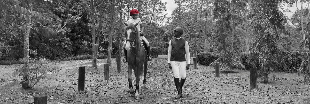 banner- horse